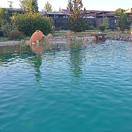 Hotel Albergue Bioclimatico Sabinares Del Arlanza Puentedura Dış mekan fotoğraf