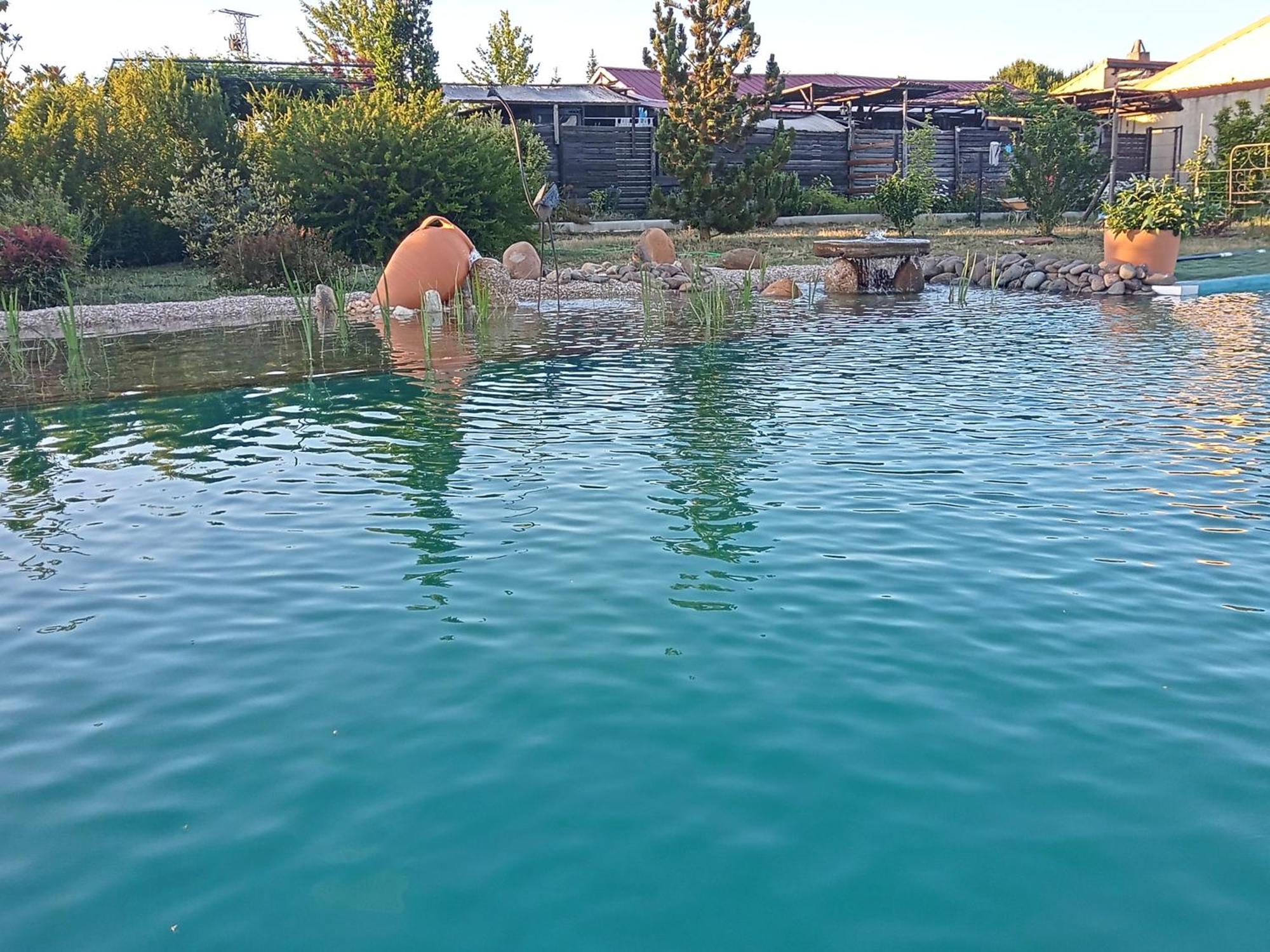 Hotel Albergue Bioclimatico Sabinares Del Arlanza Puentedura Dış mekan fotoğraf