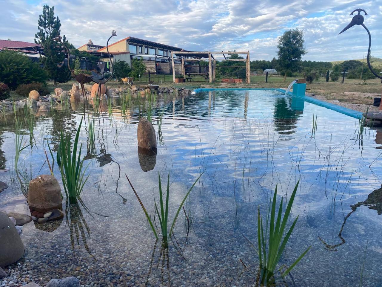 Hotel Albergue Bioclimatico Sabinares Del Arlanza Puentedura Dış mekan fotoğraf