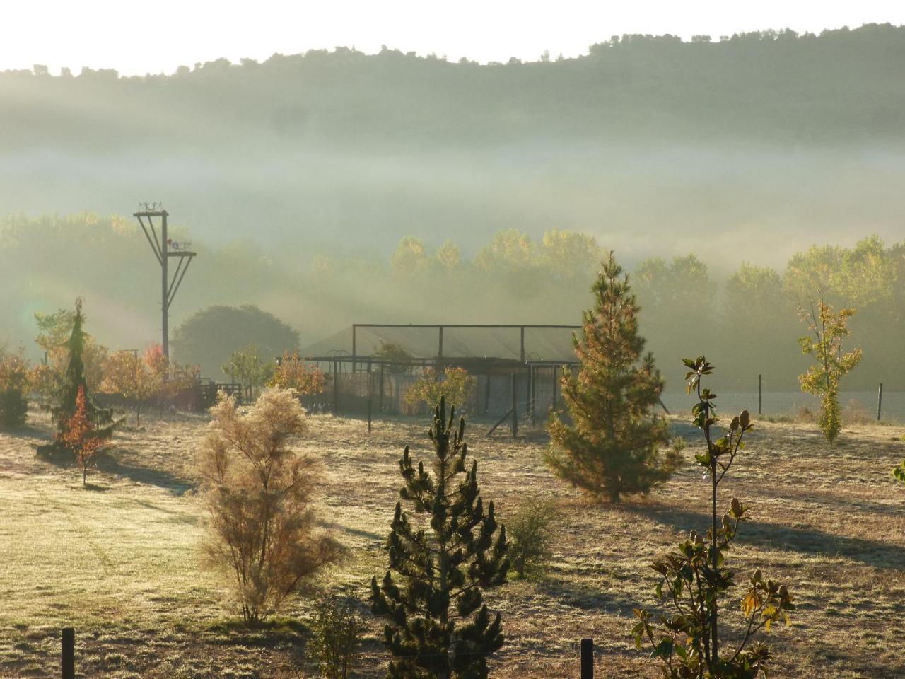 Hotel Albergue Bioclimatico Sabinares Del Arlanza Puentedura Dış mekan fotoğraf